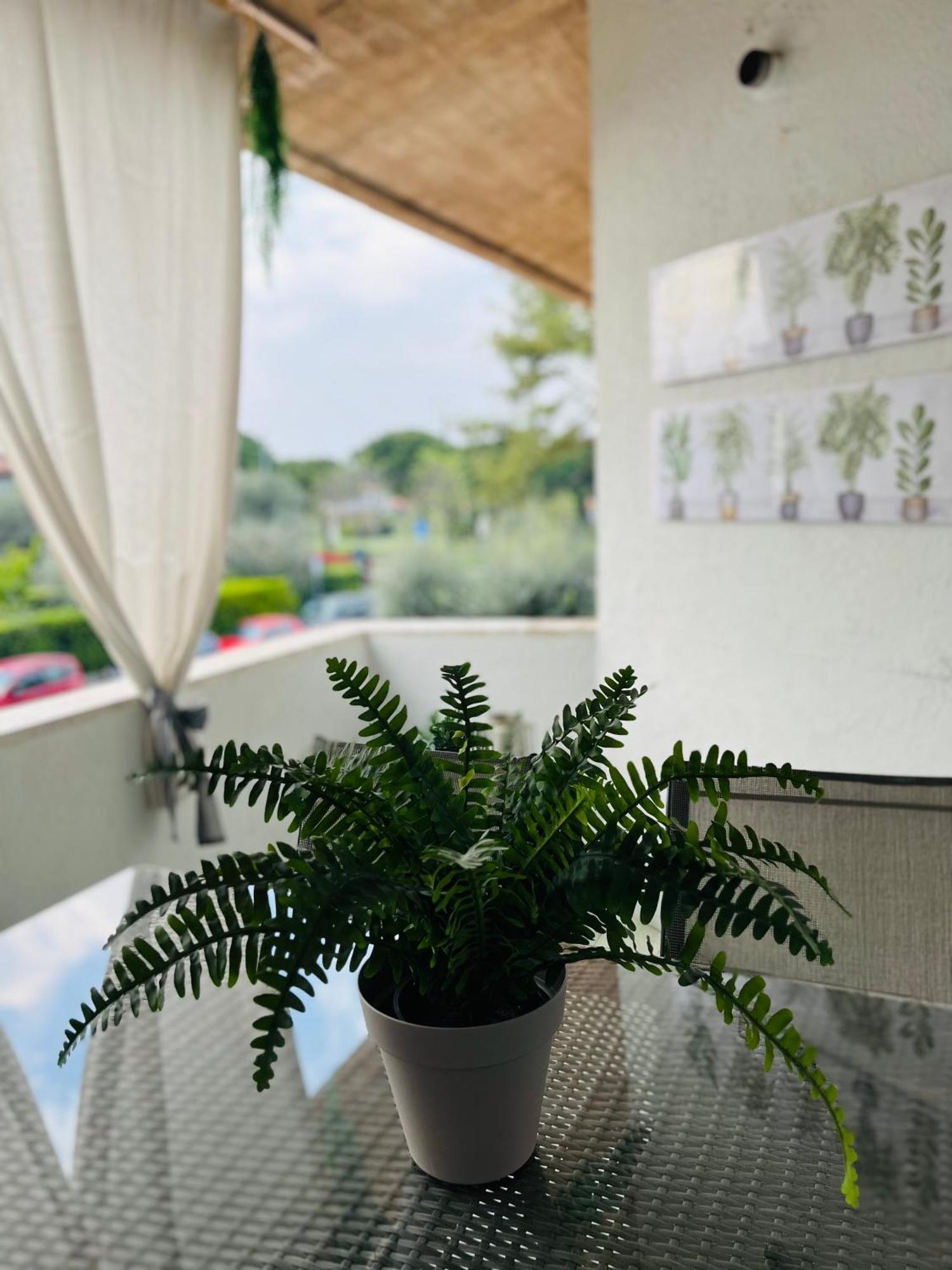Your Familyapartment In Сирмионе Экстерьер фото